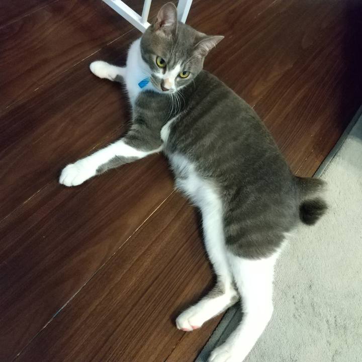 90e842e5 0b7f 44a8 9251 7b094bae35ba 1595978667117