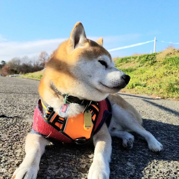 90e8a650 db5f 40a8 ac59 9c090ae1abcc 1606454387356