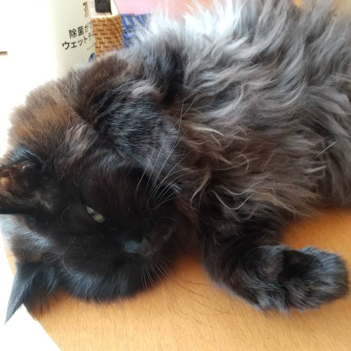 90e918e6 2549 4c15 b01a 3f75f0e7eac5 1648515194046