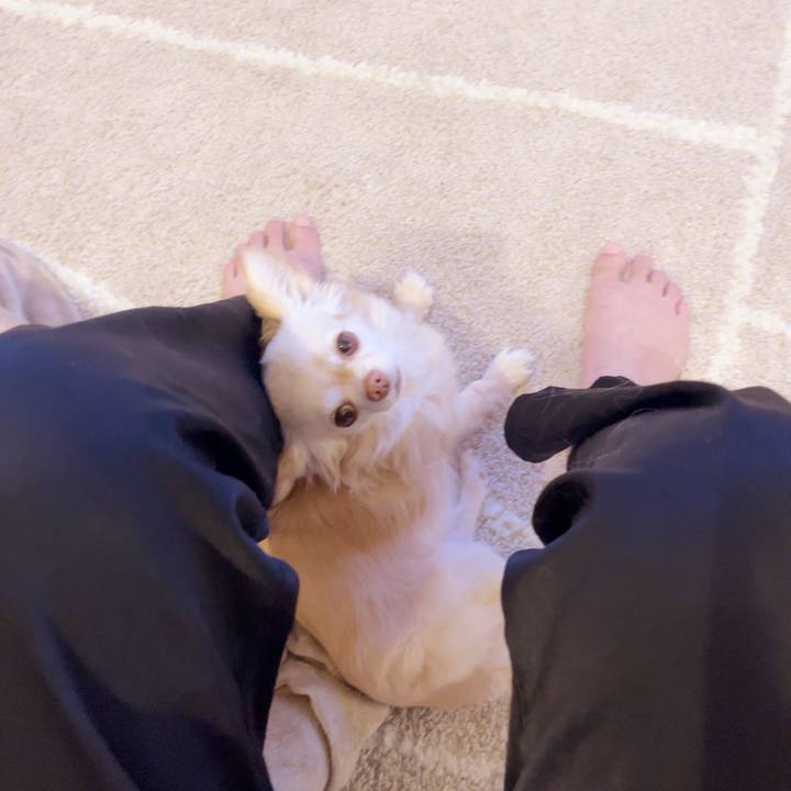 90e93919 e4db 4596 8b93 2d9c9bcbb02f 1748006911541