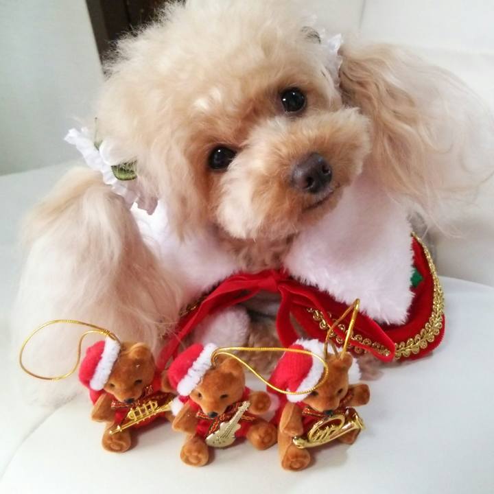 90e9545e 547b 40b2 8499 8ff0f3fd285c 1542010950553