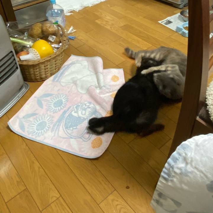 90e95648 0561 4145 8008 a7e8541356b5 1583240415454