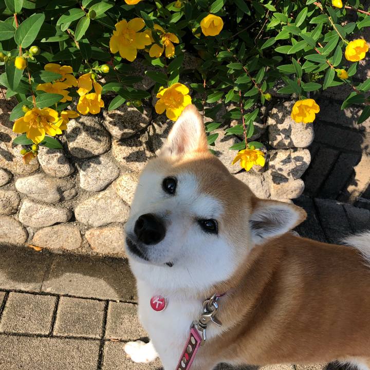 90e96ea6 55e5 4325 8a55 c89195cef454 1590618123760