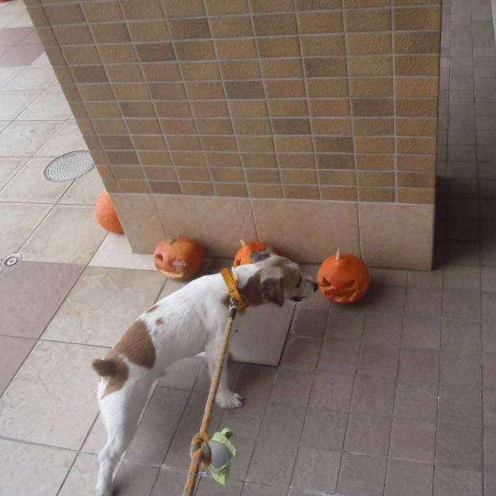 90e99438 6c2e 4b28 9df5 c0f818695f8d 1540981098989