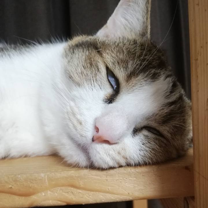 90e9b16c 2c9c 46ca aa45 80478c399118 1688165217557