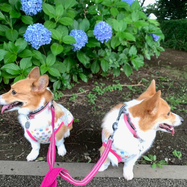 90e9b8dc efff 4f53 89e1 9f98c1b69e4d 1562052669323