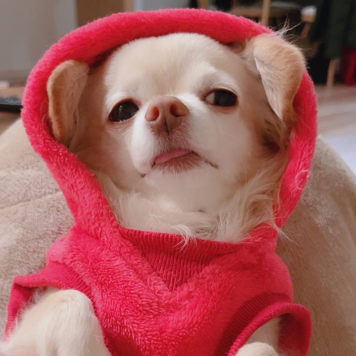 90e9c35f 3145 465f a54c a967fd77c567 1766407622535