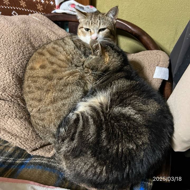 90e9d7e6 5214 4a96 9828 ae1ea2be3628 1742249083739