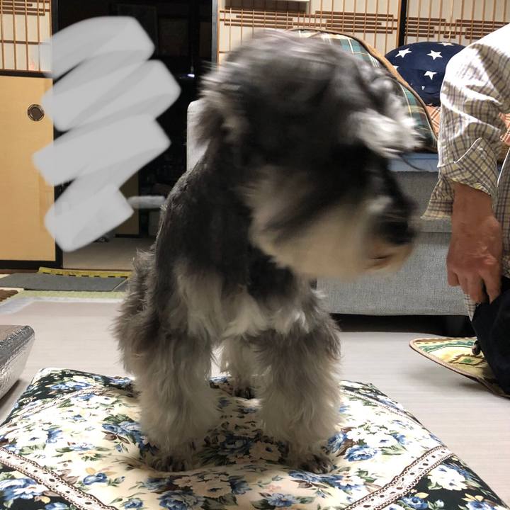 90e9e5c5 1e27 469c 8d7d 3134f2f0cdc7 1620653777492