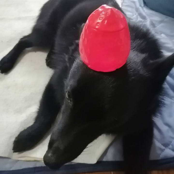 90e9f27f ecda 496a 8356 22eb1a6743d5 1624144807712