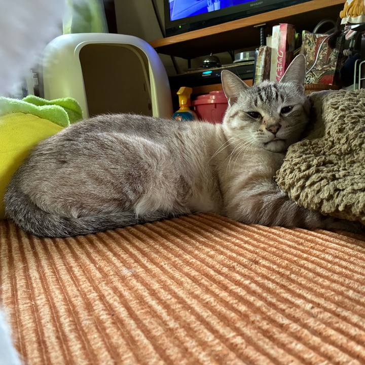 90e9f498 5e23 448c a175 51acf0fa8b2a 1765597800726