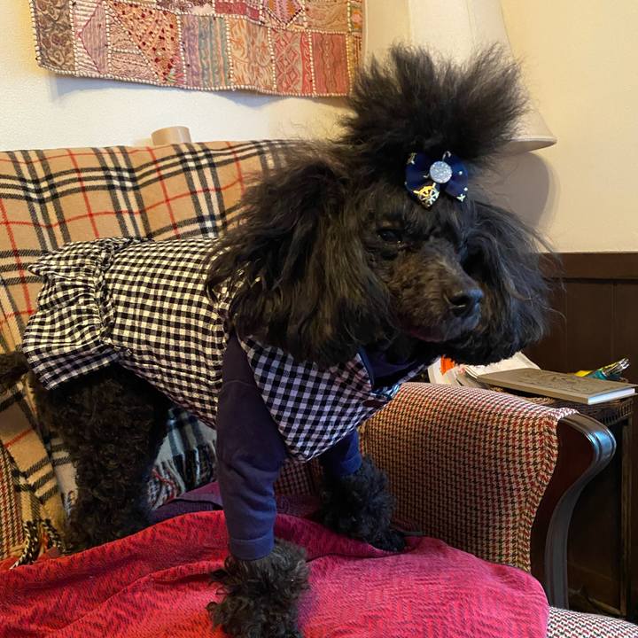 90ea2519 4155 48be bb26 b40e77e82264 1645226443581