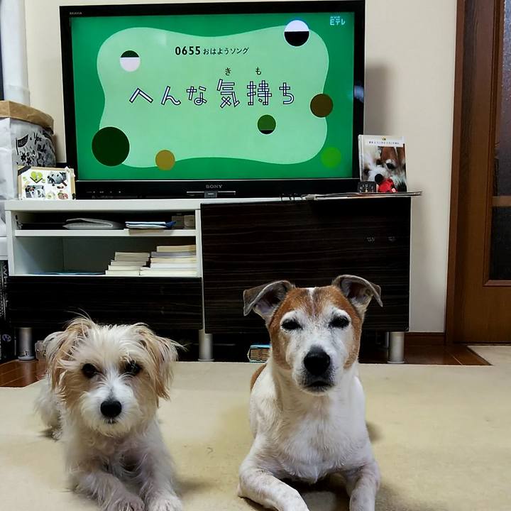 90ea4338 49ba 4202 a049 df57e3ef93a2 1548367928108