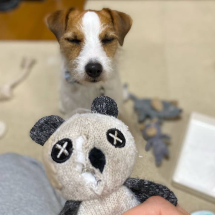 90ea4af4 0911 4d9c 930d 56b7b7f09dd1 1683450601270