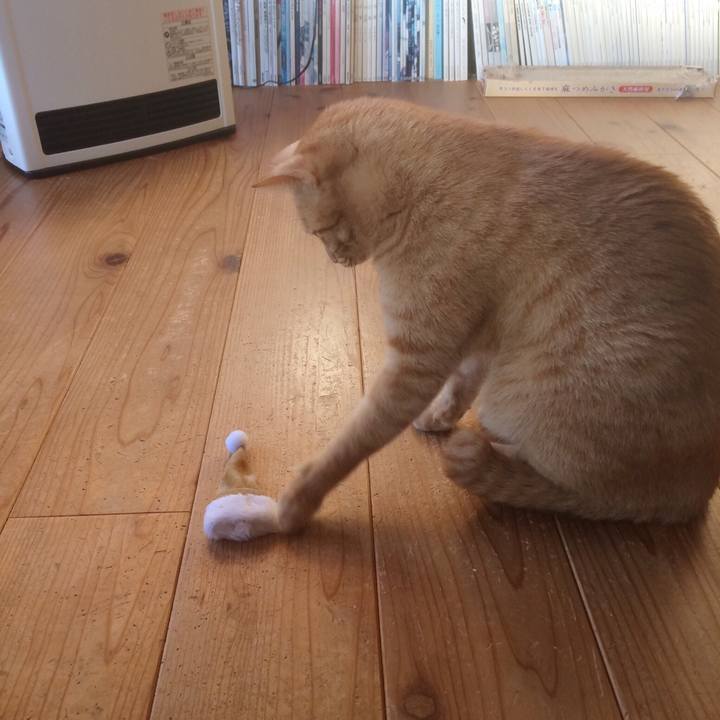 90ea5822 281b 4179 99f7 b608b71a6e4b 1514291135316