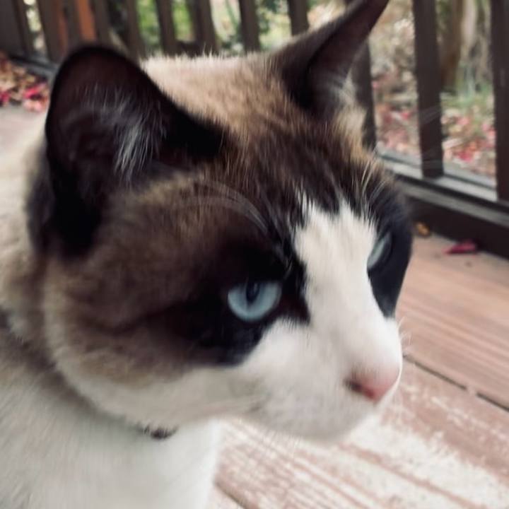 90ea5b6c 74be 4e47 8f82 e5565548c1da 1770259868650