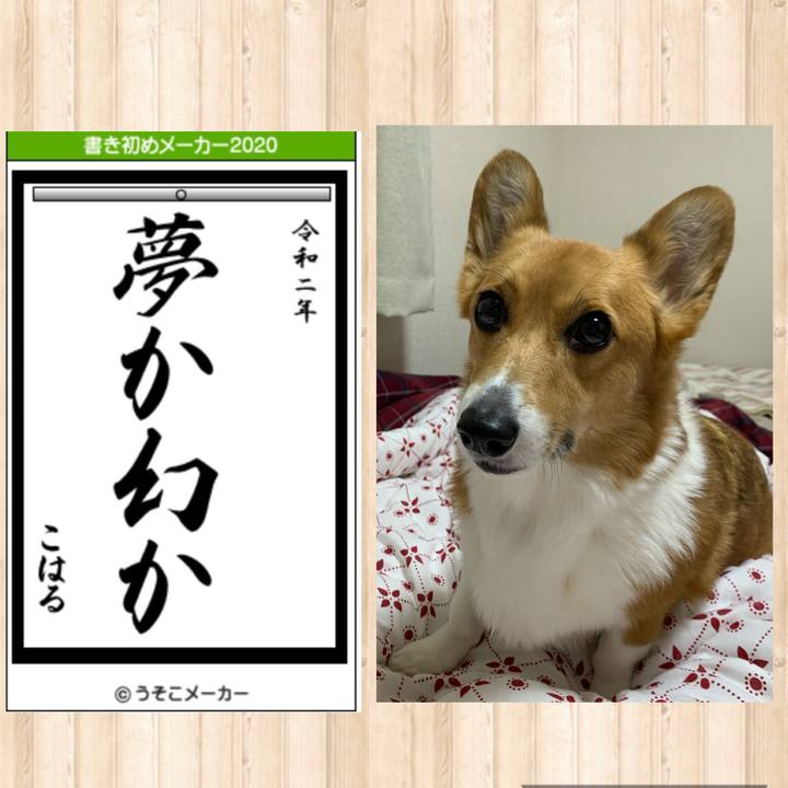 90eaa96c e06a 4278 b7ec 5bb7be5905b6 1577932897214