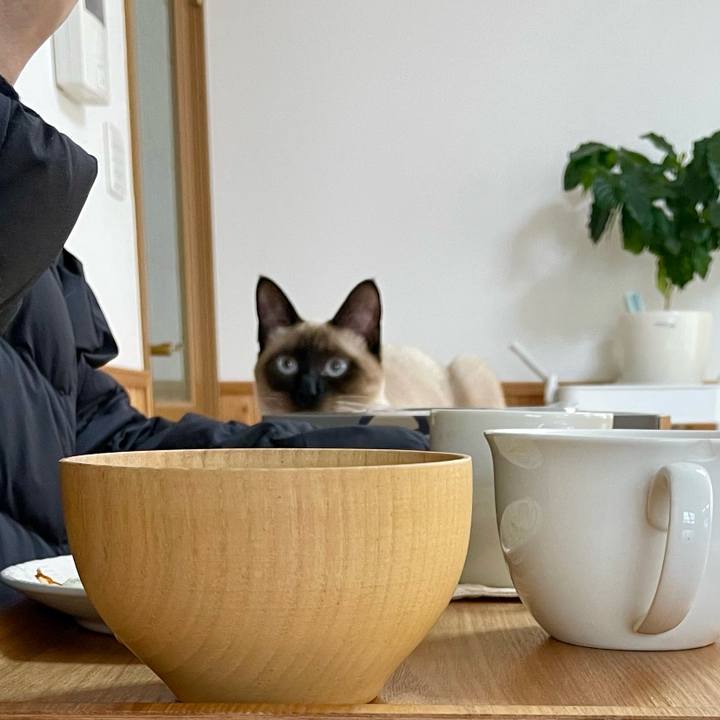 90eac17a f94c 4e40 bf1f e53626e02a35 1707691399896