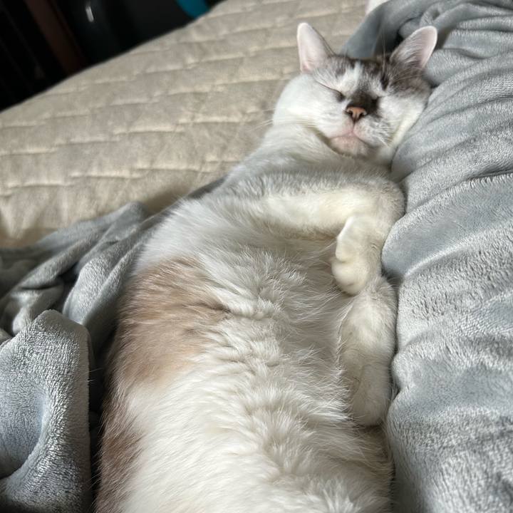 90ead5ed cceb 4898 add1 2f08fc608b3e 1698627504864