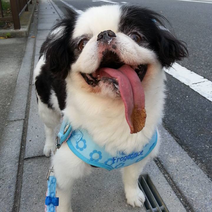 90eae312 2620 4066 9056 52d5608f1e80 1511950544820