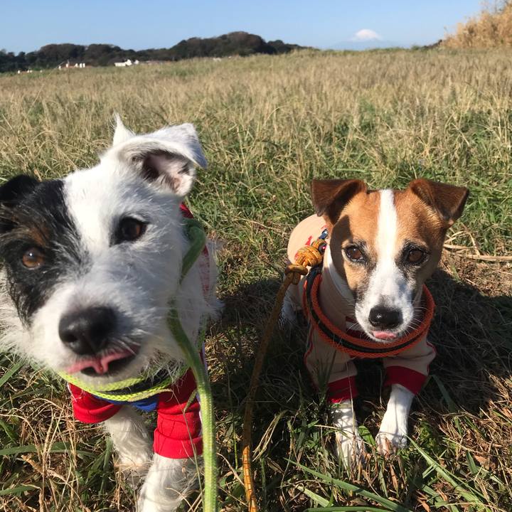 90eb137f 838d 4308 a02a efe52b1825ac 1540165336264