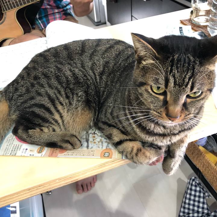 90eb17f1 ef76 44d4 b38c 84f9cf524dd2 1569726543759