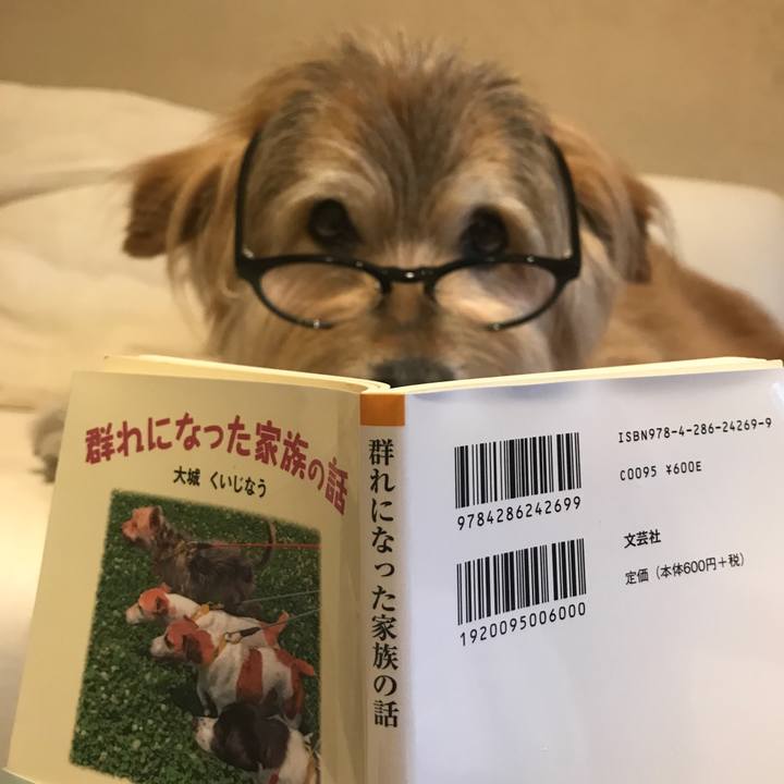 90eb2fdb aeea 483e 8fca db9851438fd5 1689504481555