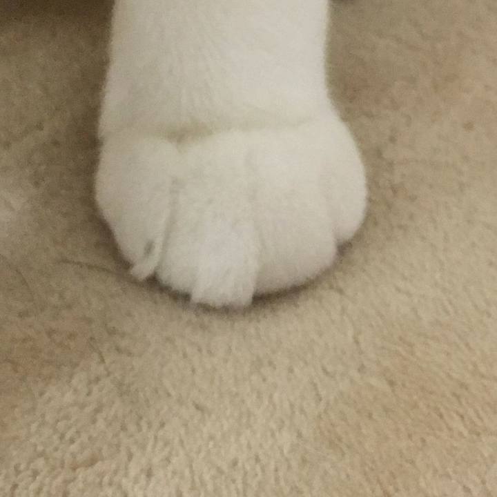 90eb4942 1d7e 4e6e ac6c 19e83e7f12a5 1518102974888