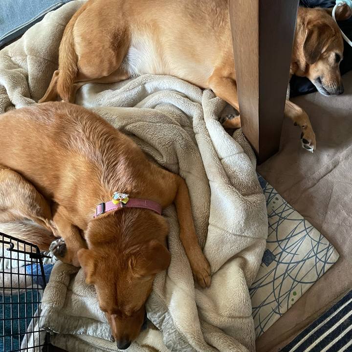 90eb7596 b48b 4143 b976 05b983d29101 1627275447287