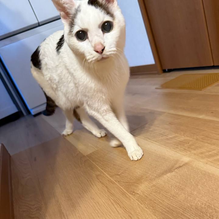 90eb7e8a d7e4 4282 8483 056009ad5502 1768614745456