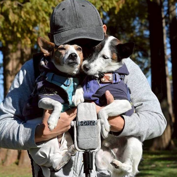 90ebb699 f941 4103 870e 16f3f21eec13 1762175149860