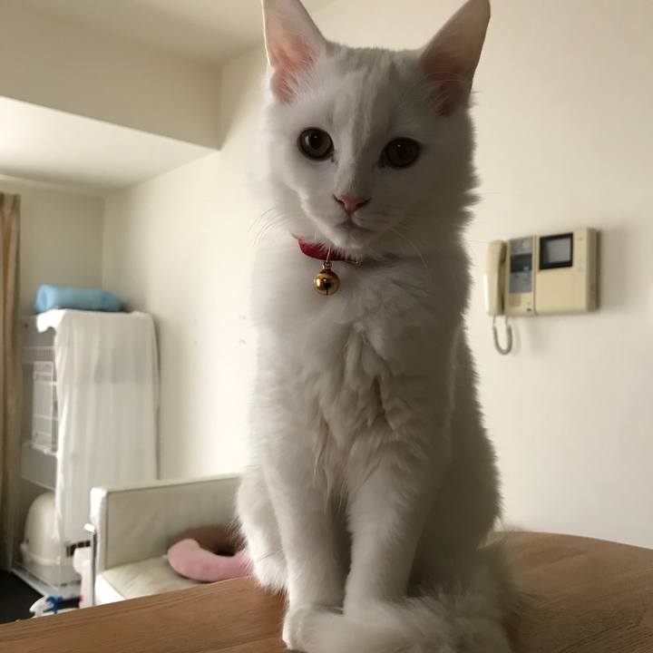 90ebfe85 e6c6 4582 921e 5e69628377af 1512095923709