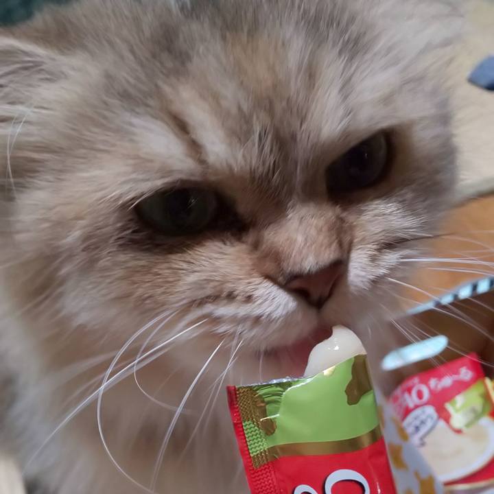 90ec12e7 a06d 4d80 b4d0 c1f12595f7cc 1598842276188