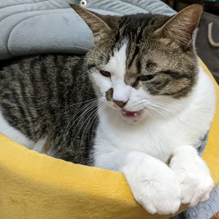 90ec3789 da32 457c b7d2 7b75e817a4ac 1668160053918