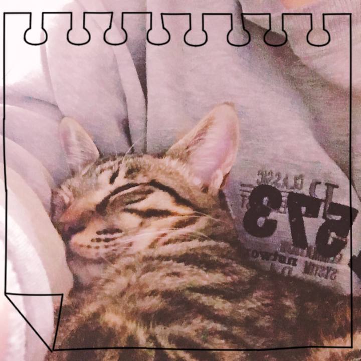 90ec599e 0a2a 4bd2 8fca 0601c4fe4c85 1541720261078