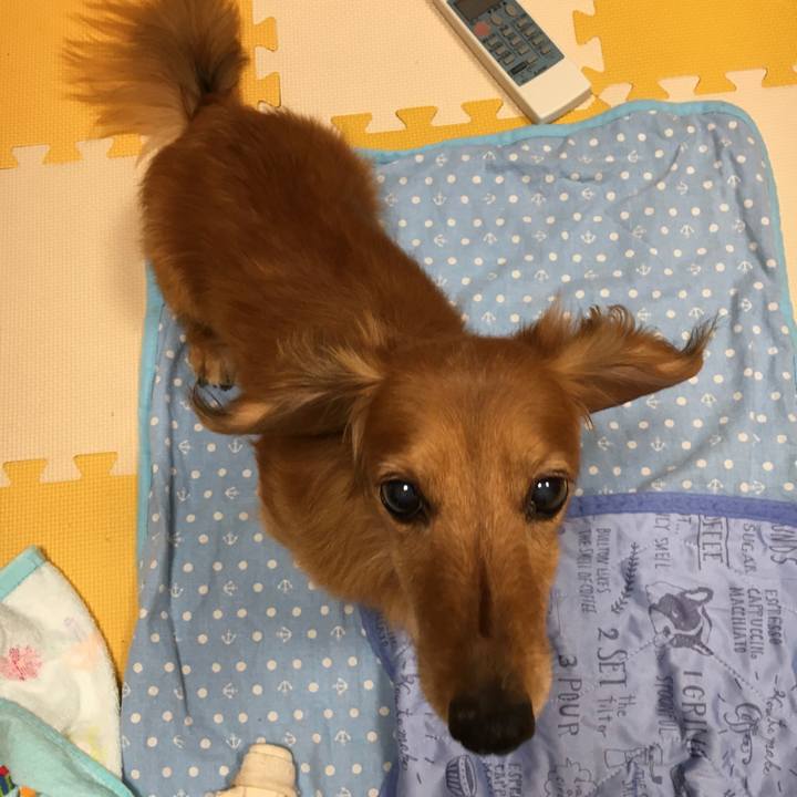 90ec6fd9 d2a5 4ef8 bf6f 529da4700c15 1594216289602