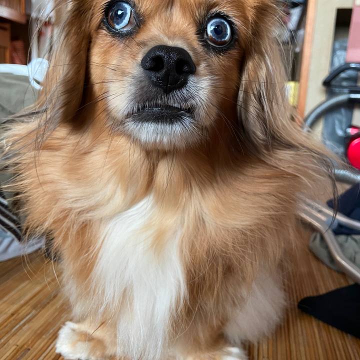 90ec7032 bcb8 4e7c 9d8a d46d37befc6d 1665271565558