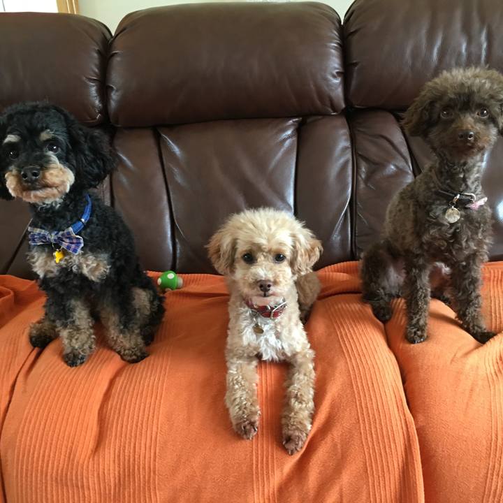 90ec967c 0269 4bed a45f 7bd986e4b3d2 1555843029953