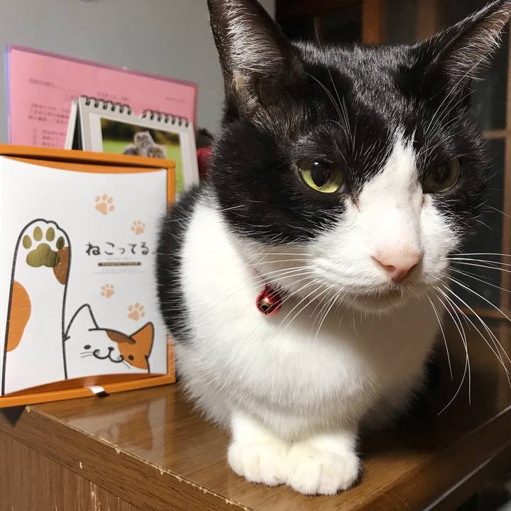 90ecf658 1ec6 4136 9094 51f0ea225f97 1573303242760