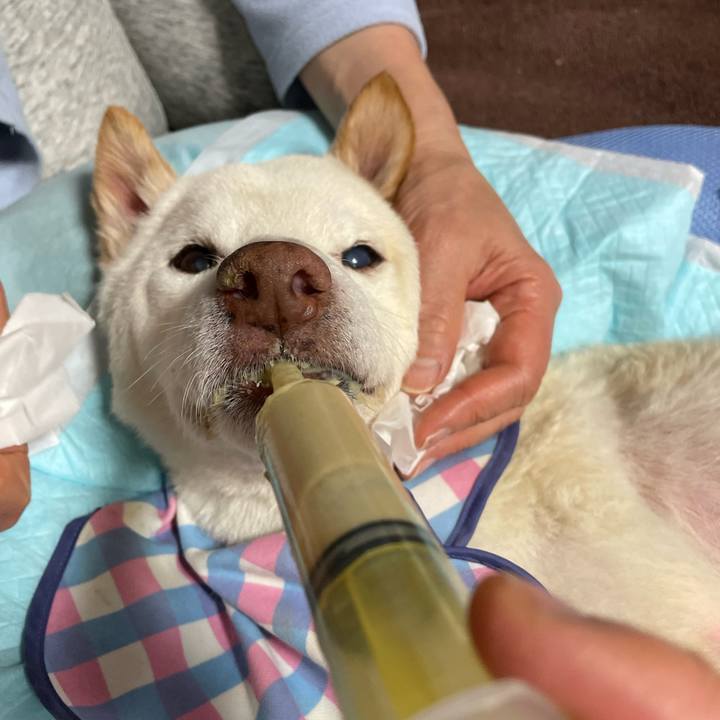 90ed1db4 ad70 457a 9631 e1b14a4bf641 1673832325651