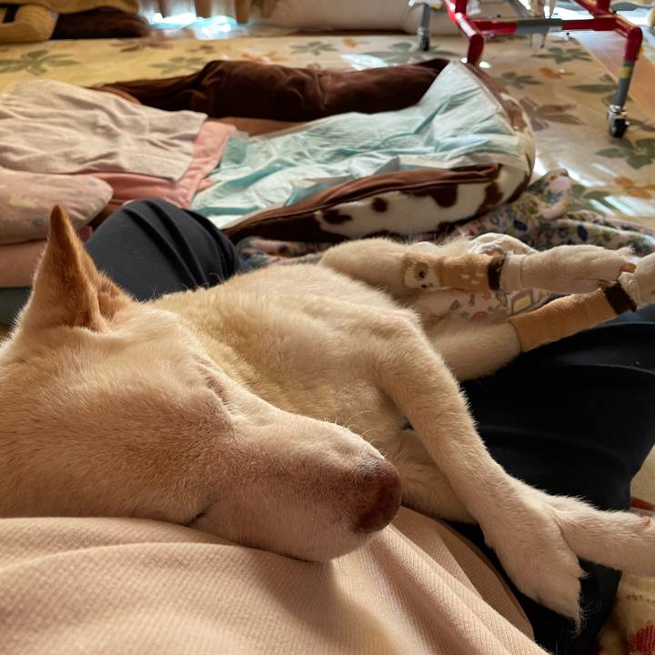 90ed4bc7 2a75 4fca a002 ddaefb23e93a 1674099112632