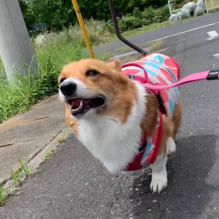 90ed4c7f ac27 4745 bf93 5f660c07ec1e 1652585704213