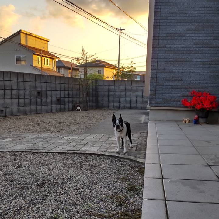 90ed4cfa 257d 452b 8978 486b22d48f0a 1685552162228