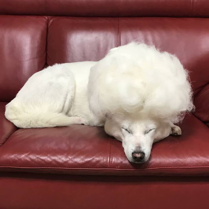 90ed5d2e 6f0b 4b4d 9c89 c7551925f743 1525783836788