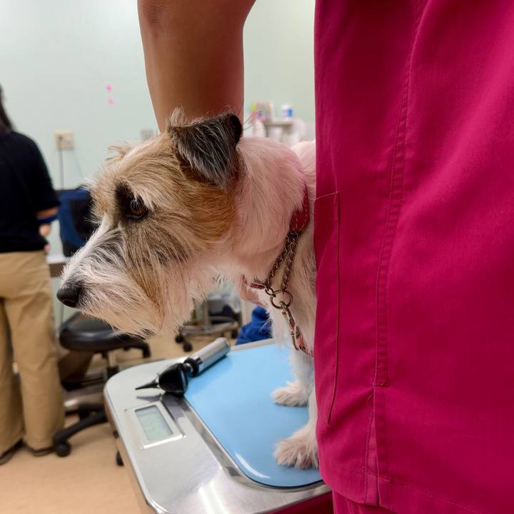 90ed6532 da8f 426d 880c 87fe81345caf 1695635673070