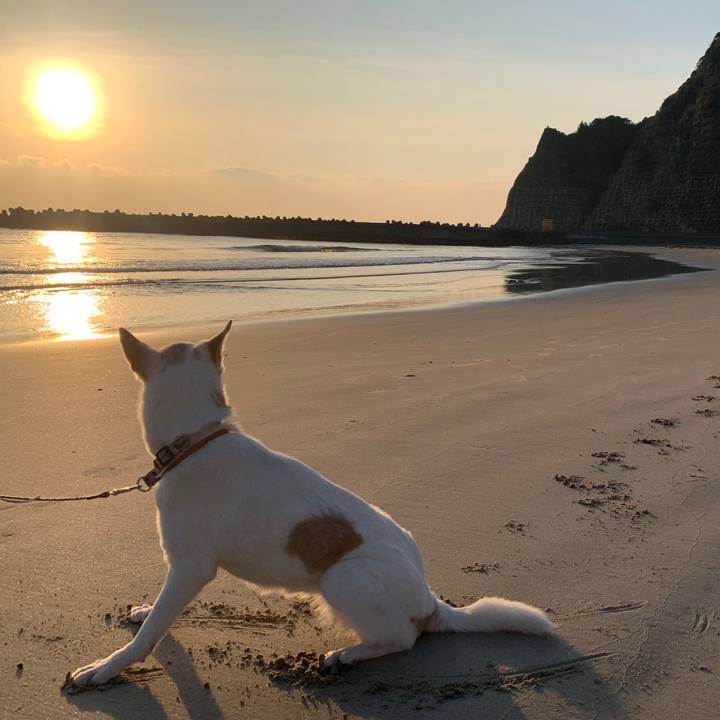 90ed7c9f 543c 4400 b08c 7a2bc339f98c 1699701573759