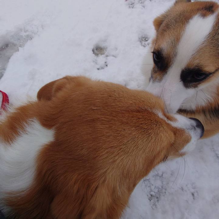 90ee0c36 5c5a 4e0d be71 c9a53b81f397 1762904717211