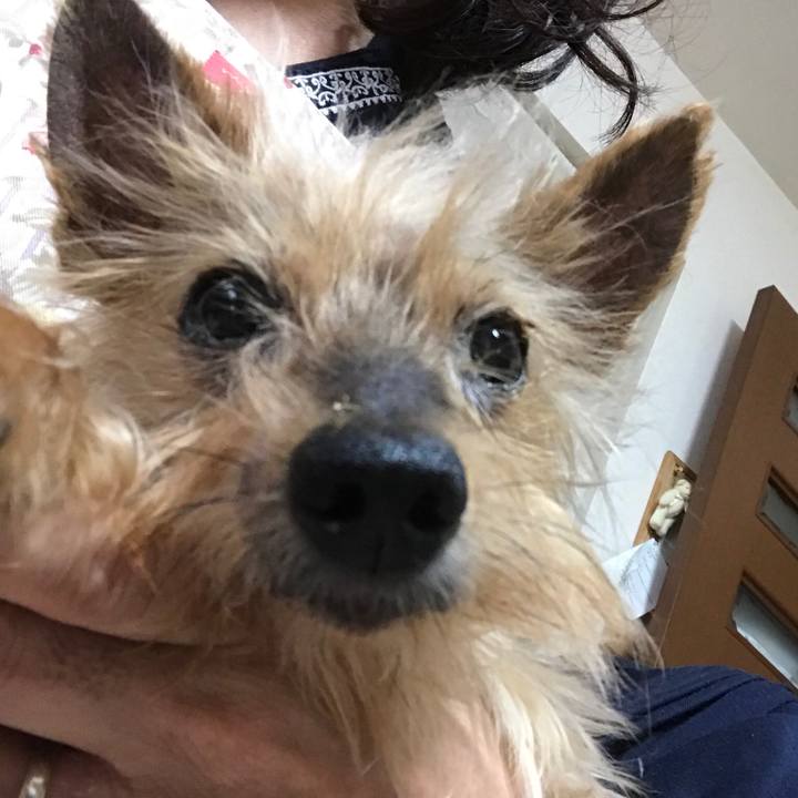 90ee4698 ef03 4810 9bee 13eef4f652c0 1529737511856