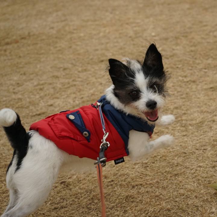 90ee55d7 82c1 46b6 9192 ce09fe2d540a 1673616509445