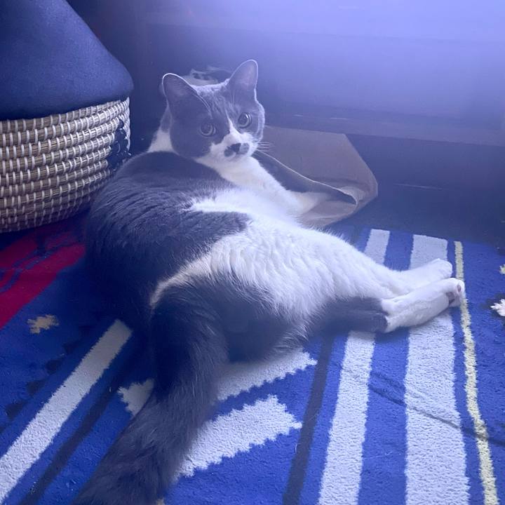 90ee66fa eb51 4833 aa2e 48b2c1819dbe 1687638699059